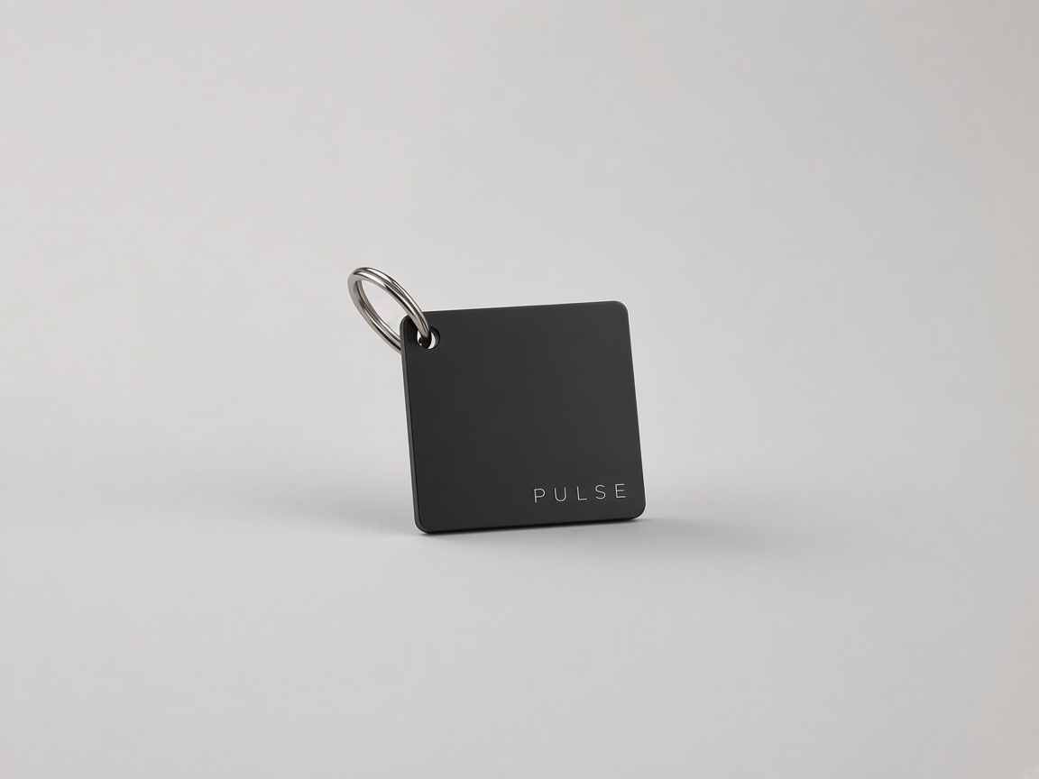 Smart Keychain